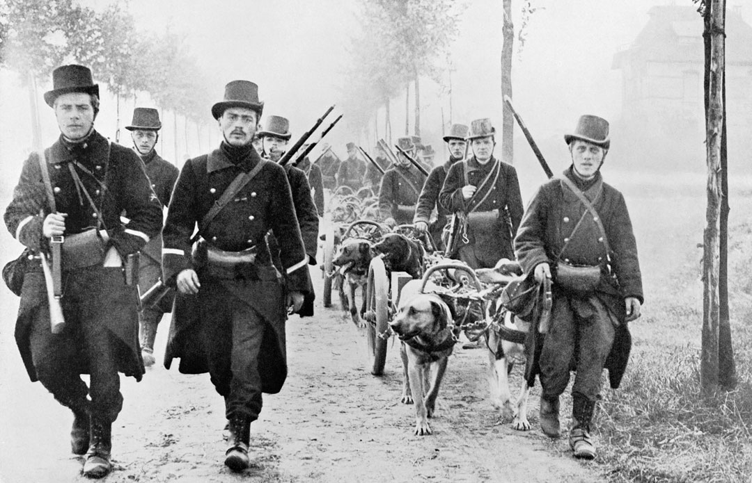 Belgian carabiniers marching with dog cars
